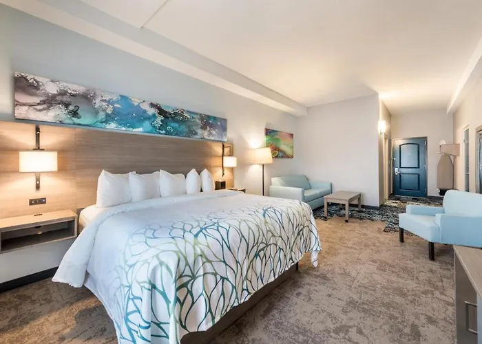 Virginia Beach hotels near Virginia Aquarium & Marine Science Center