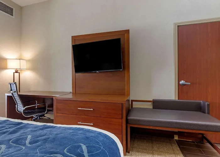 Gainesville Hotels With Amazing Views