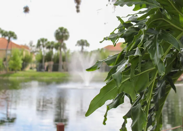 Kissimmee hotels near Medieval Times Dinner & Tournament