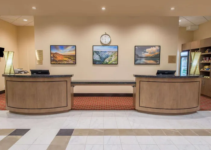 Calgary Hotels With Amazing Views
