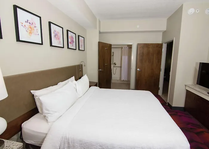 Lutz Beach hotels