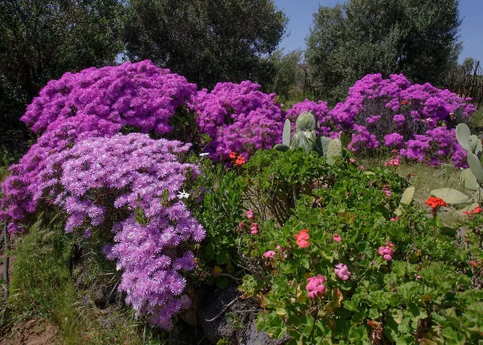 Valle de Guadalupe Beach hotels