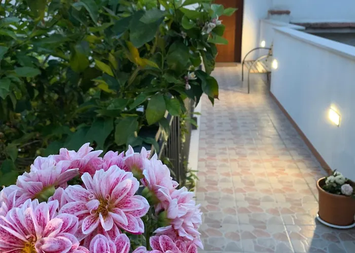 Peschici Hotels With Amazing Views