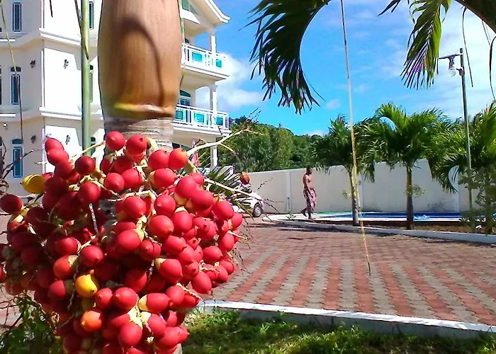 Belle Mare Hotels With Amazing Views