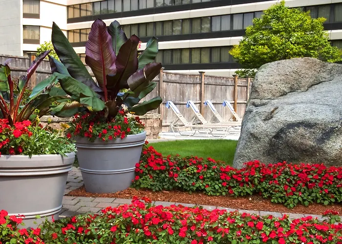 Peabody Beach hotels