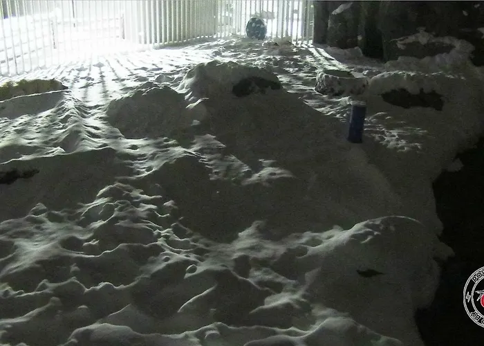 Anchorage hotels near Iditarod Trail Sled Dog Race