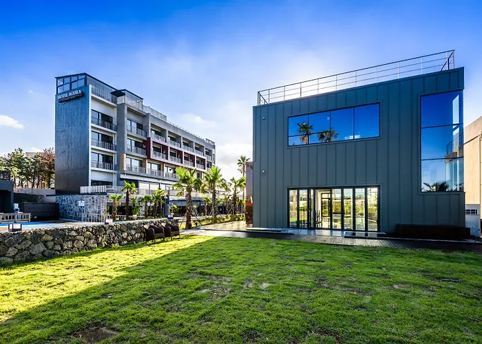 Jeju Hotels With Amazing Views