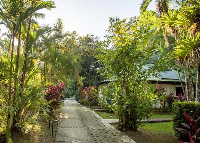 Dominical Hotels With Amazing Views