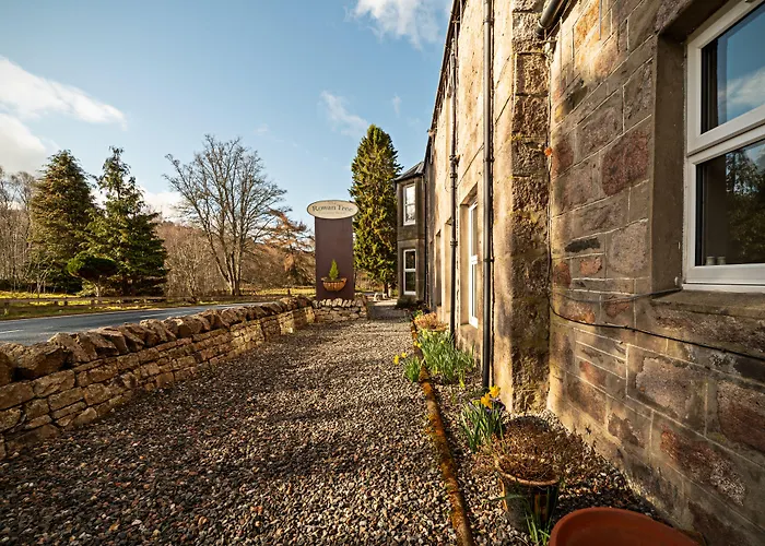 Aviemore Hotels With Amazing Views