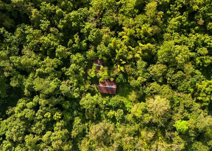 Mindo Hotels With Amazing Views