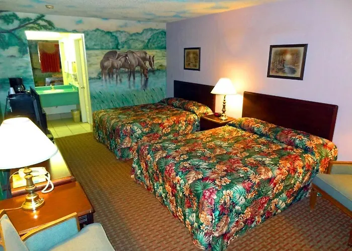 Bandera hotels near Bandera Natural History Museum